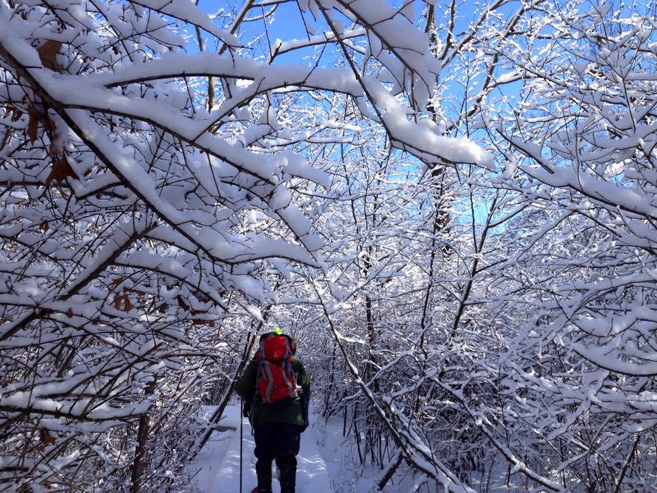 Hikers traverse a snowy trail under snow covered branches