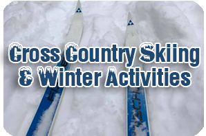 Cross Country Skis on Snow