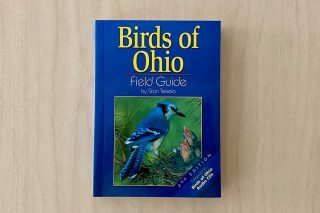 Blue Jay on front cover of book