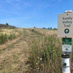 Sandy Valley Trail