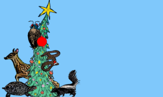 Variety of animal drawings on Christmas Tree