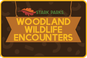 Woodland Wildlife Encounters Button