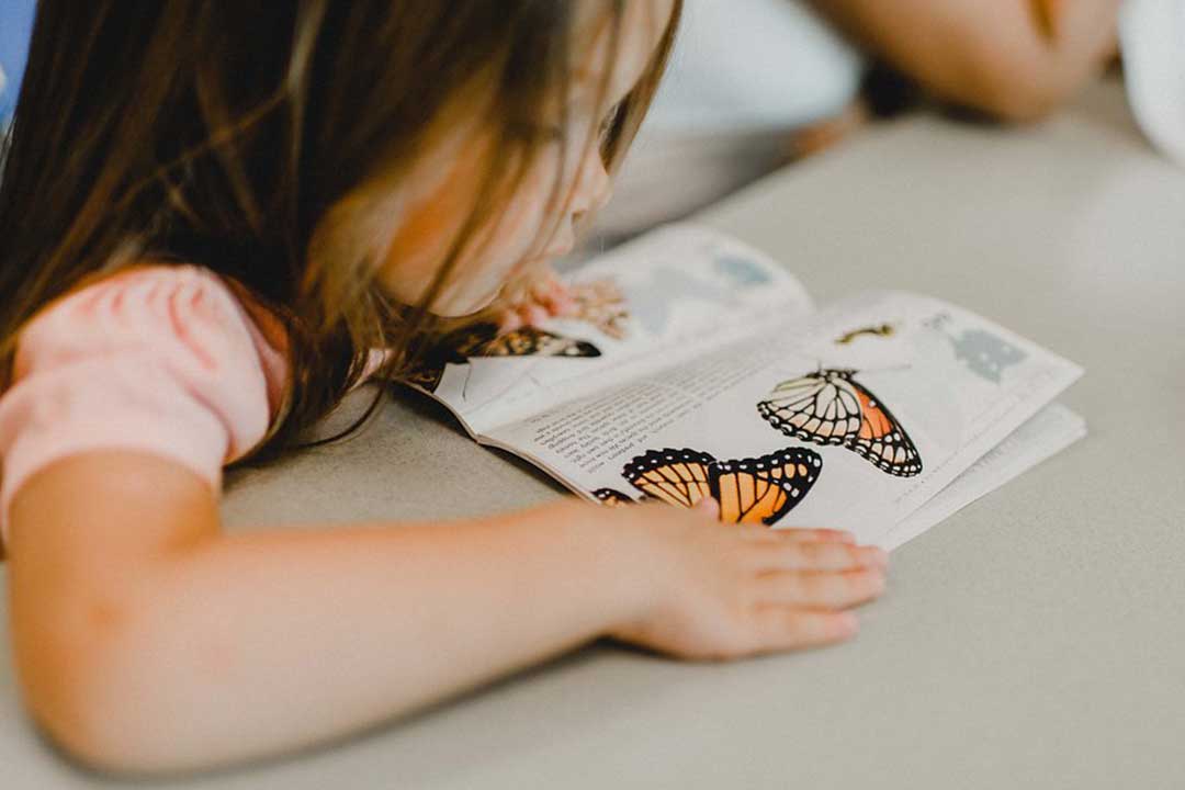 Student reading butterfly guide