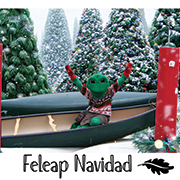 FeLeap the Frog in Canoe with Sweater on