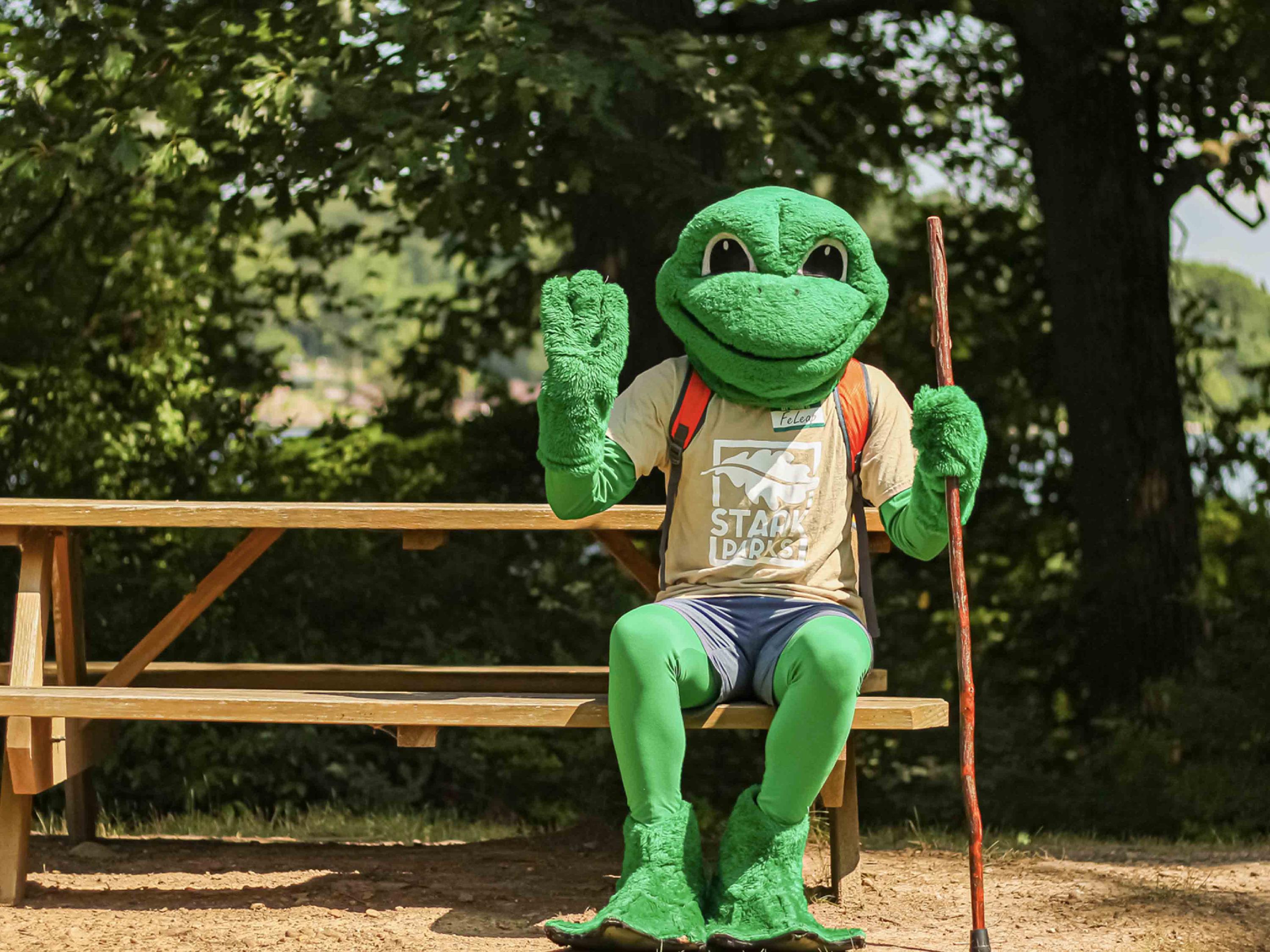 FeLeap-waving-on-picnic-bench