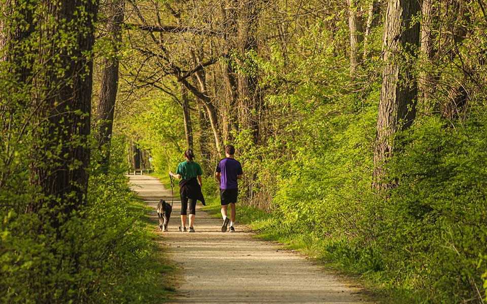 Dog-Walkers-on-Towpath-Trail
