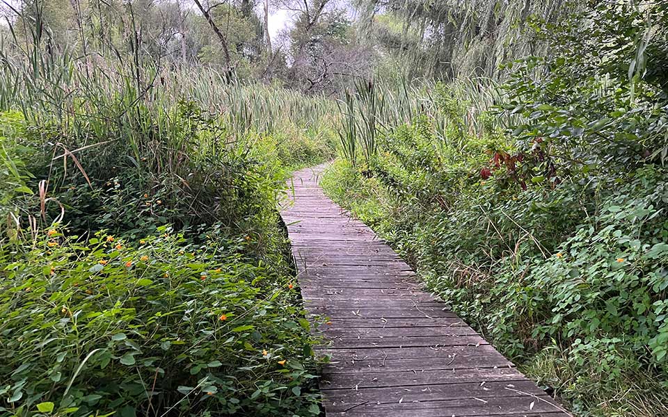 Fichtner-Boardwalk_VW