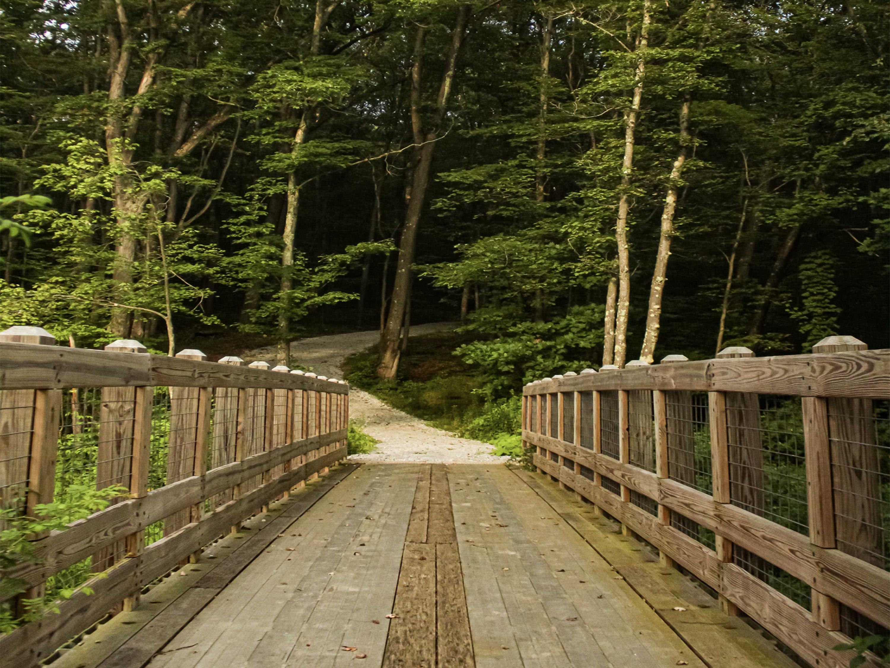 Bridge with trail going in woods