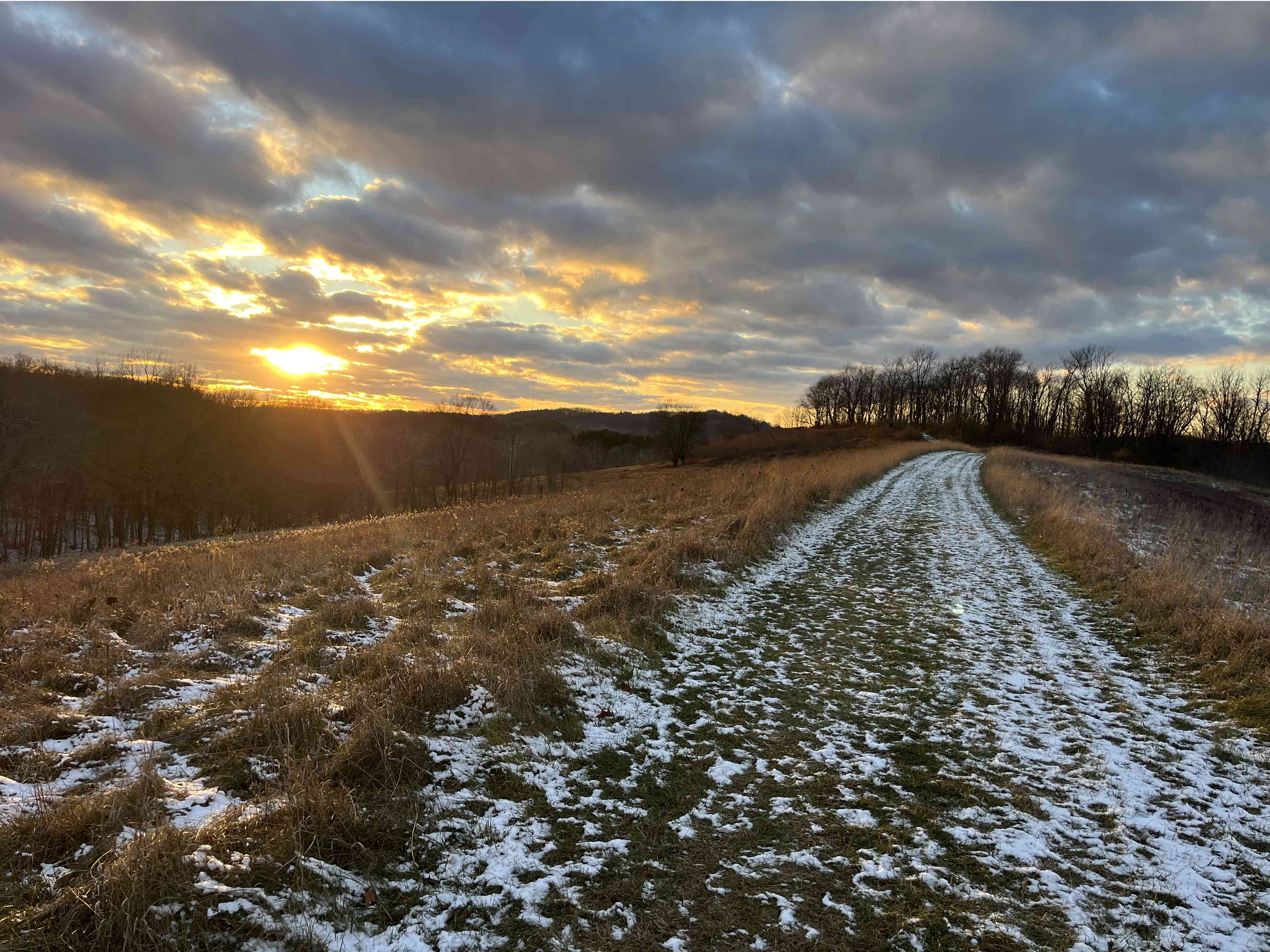 Trail mowed through taller grass with snow dusting