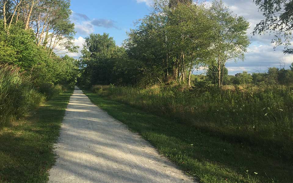Nickel Plate Trail with limestone going down middle of trees