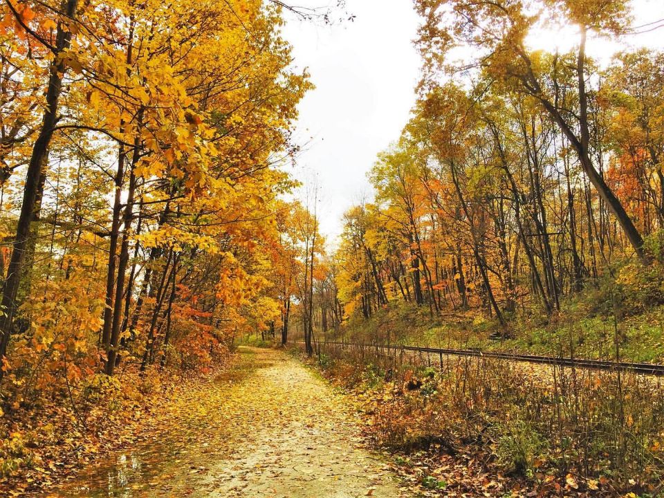 Trail on left and railroad tracks on right