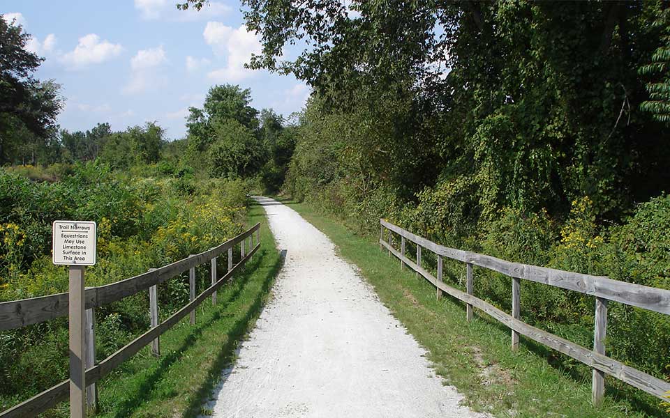 Trail with wooden fence on each side