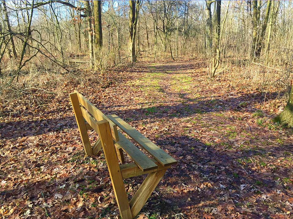 Hickory-Trail-at-Petros-Lake-Park