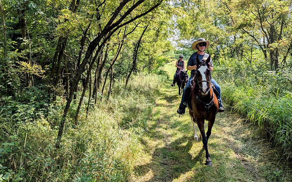 Person riding horse coming down trail through woods