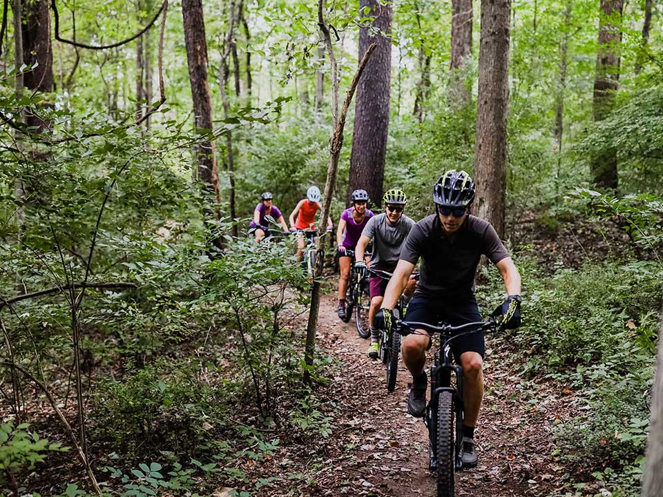 Group of Mountain Bikers in line on trail