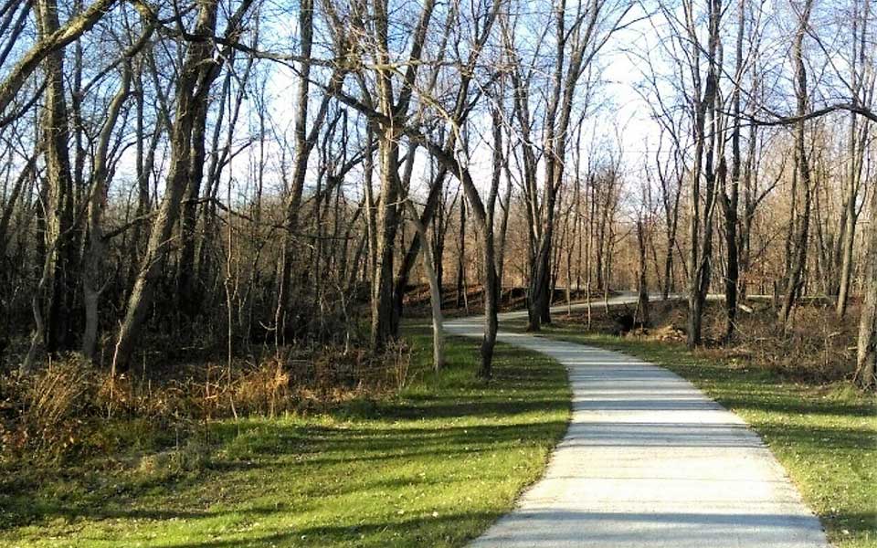 Trail winding through woods