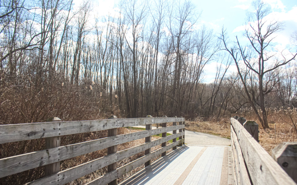 Trail over bridge curving into woods