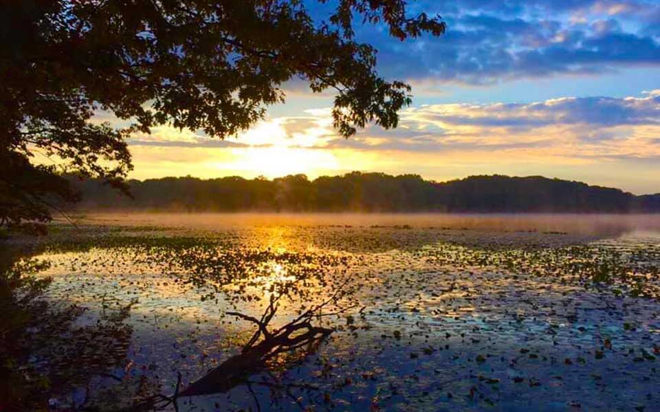 sunrise over lake with trees in background