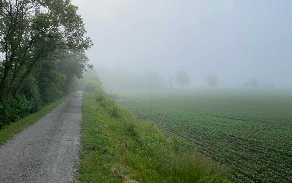 Mist over field next to trail