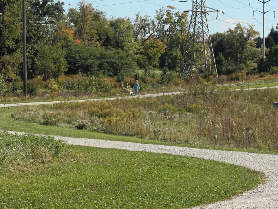 Person walking dog on winding gravel trail through grass