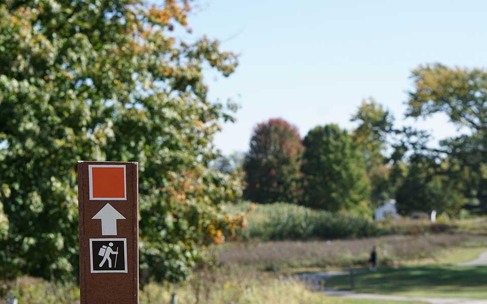 Trail Market Sign with hiker stick and arrow up