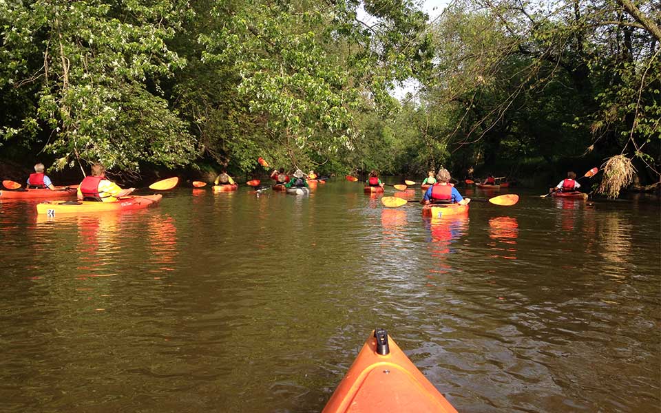 kayak on the water going through woods