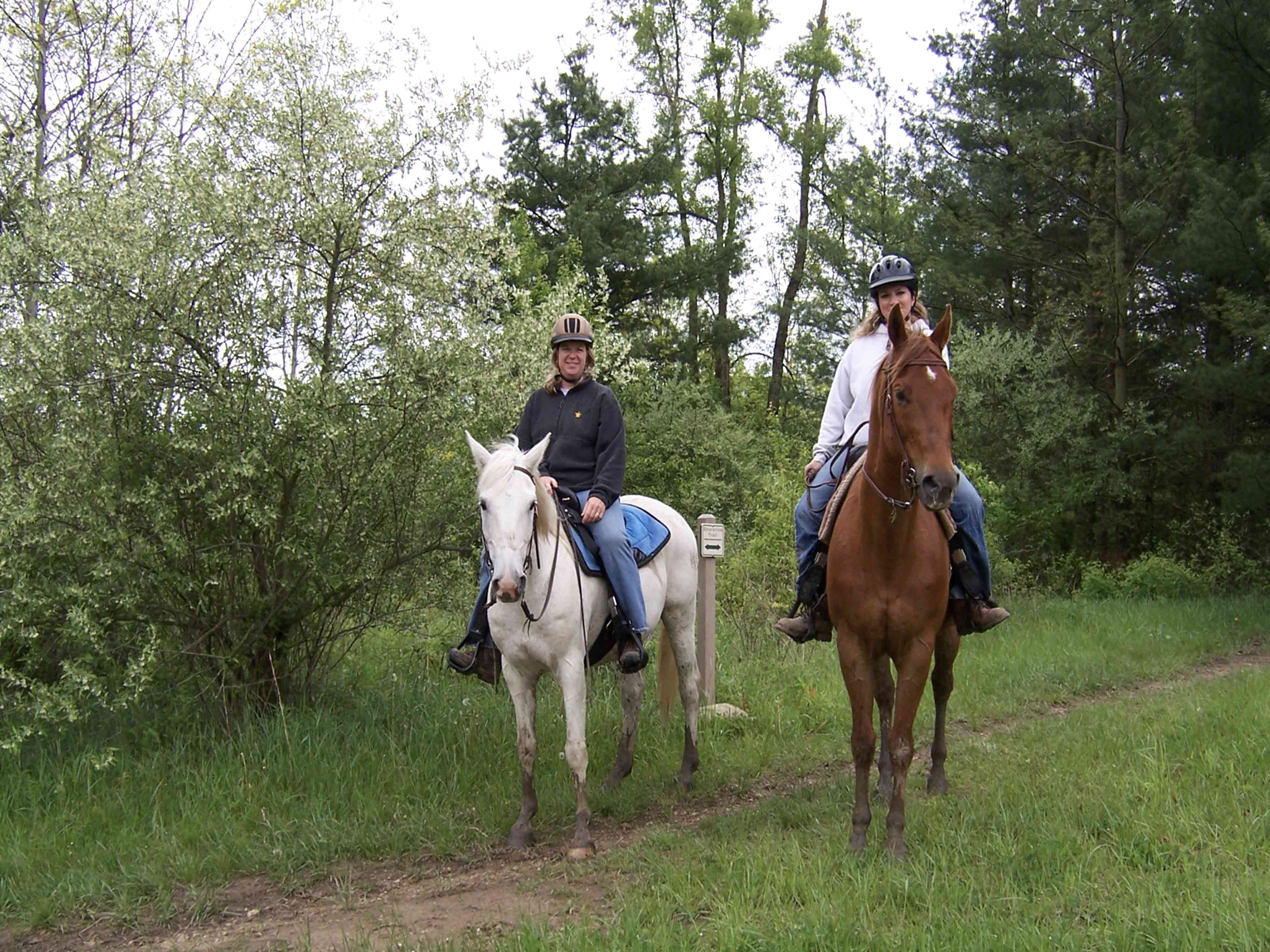 People on horses on a trail