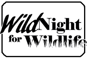 Wild Night for Wildlife
