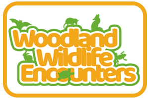 Woodland Wildlife Encounters logo with animals on it