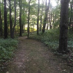 Fichtner Trail