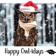 Great Horned Owl with Santa Hat and Scarf on